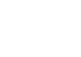 Exército